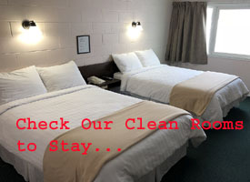 Check Our Clean Rooms to Stay